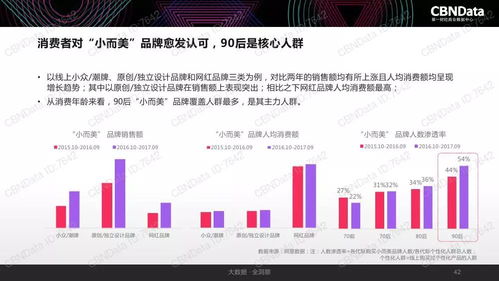 2017中國互聯(lián)網(wǎng)消費生態(tài)大數(shù)據(jù)報告 洞察趨勢，賦能未來